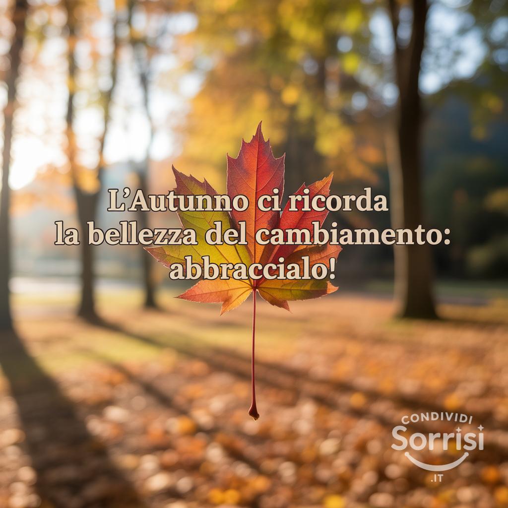 L'autunno ci ricorda la bellezza del cambiamento: abbraccialo!