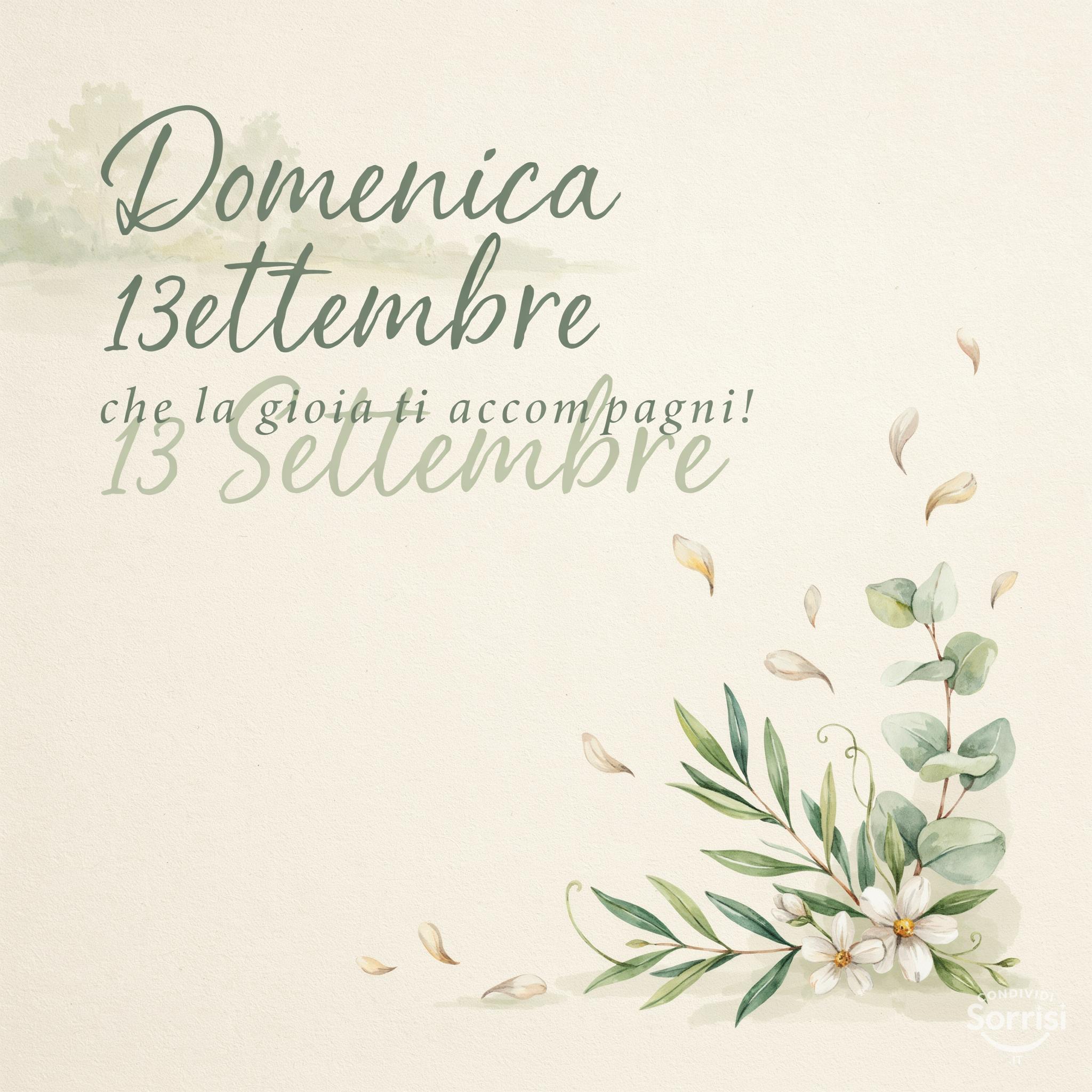Domenica 13 Settembre : che la gioia ti accompagni!