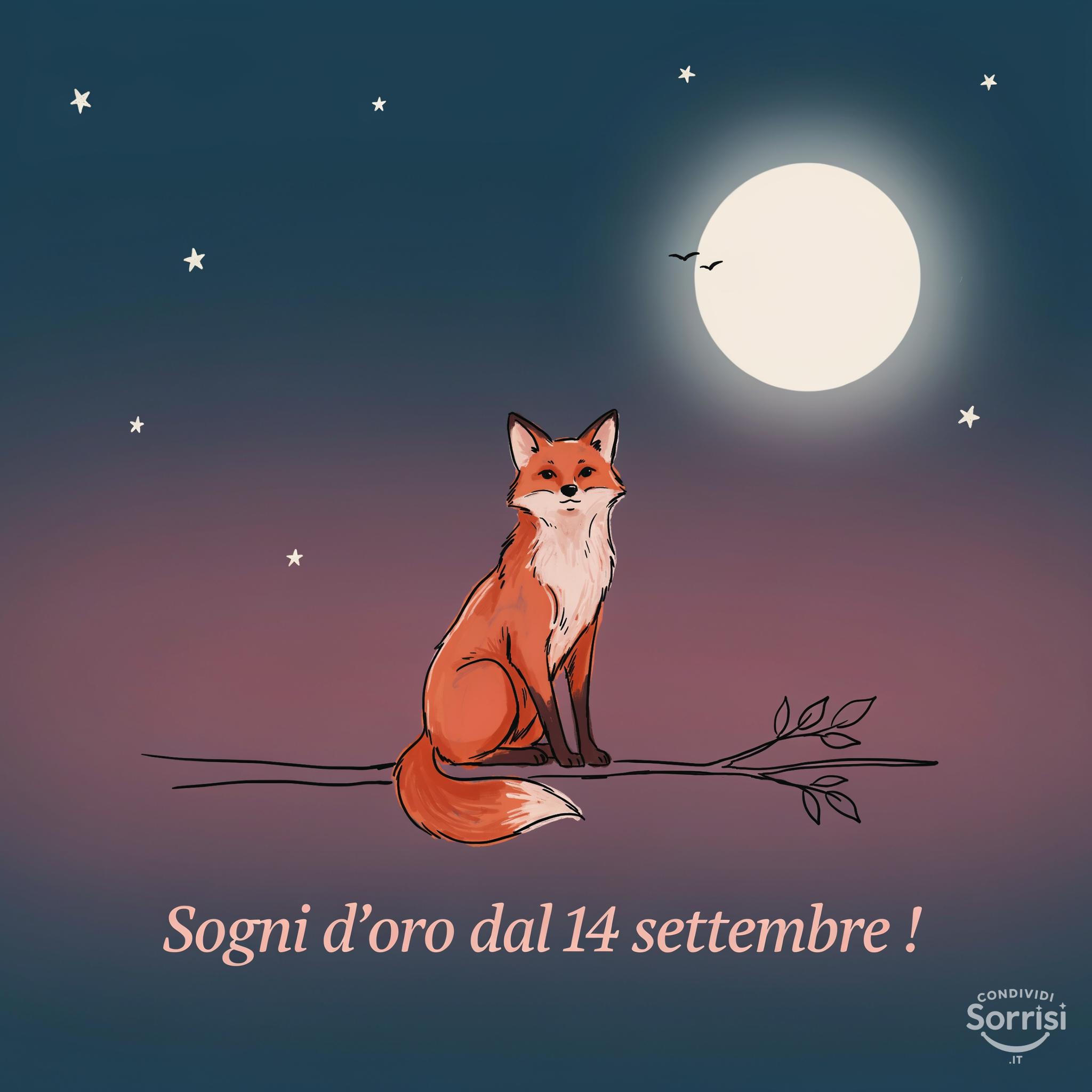 Sogni d'oro dal 14 settembre !