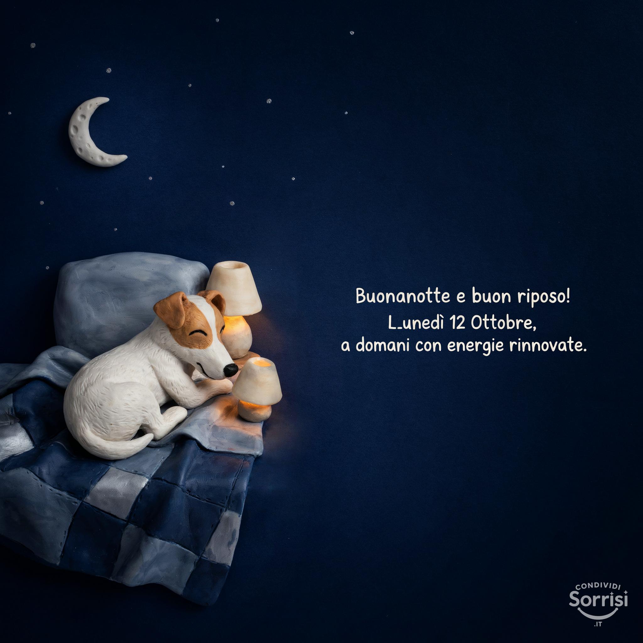 Buonanotte e buon riposo! Lunedì 12 Ottobre , a domani con energie rinnovate.