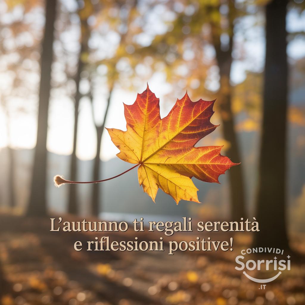 L'autunno ti regali serenità e riflessioni positive!