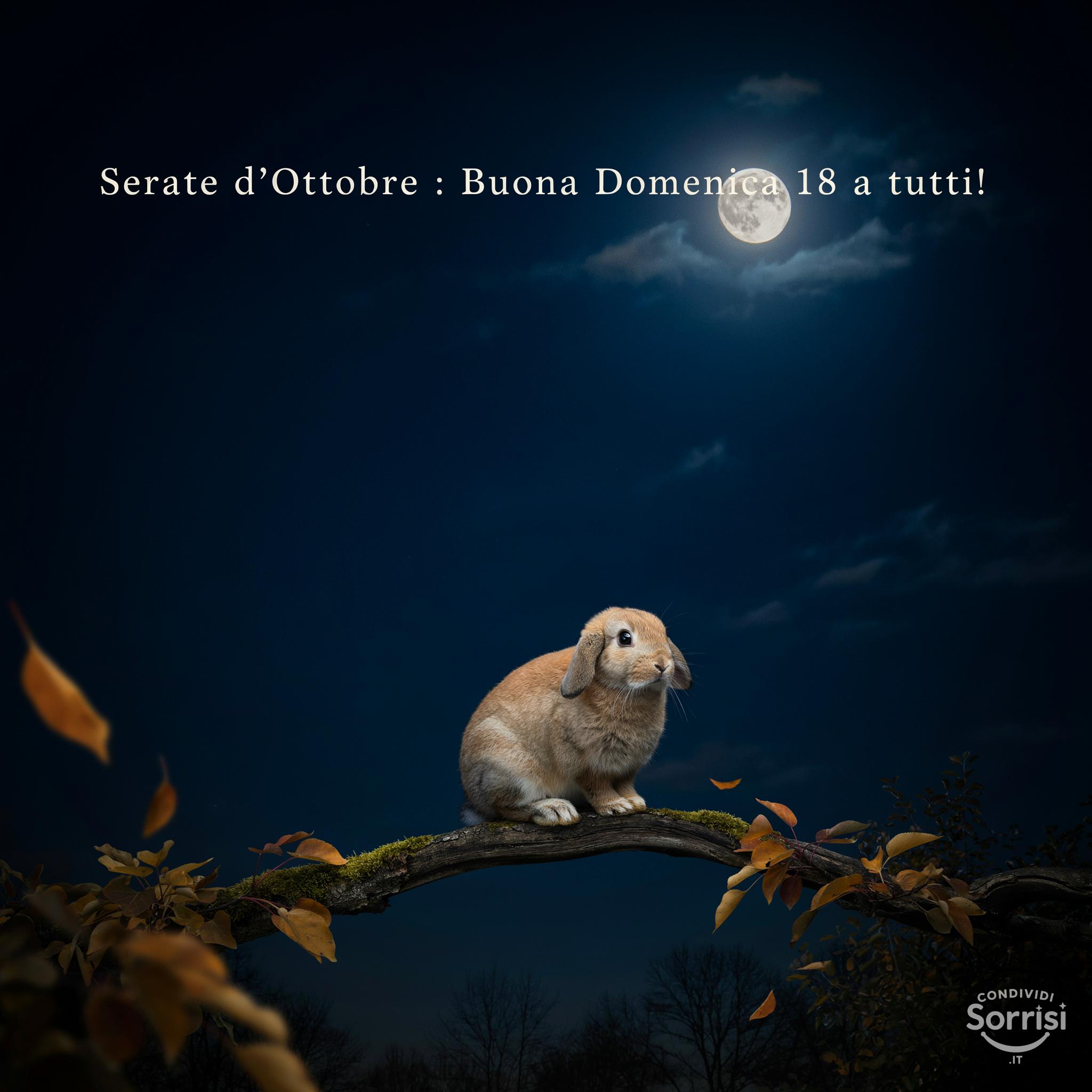 Serate d'Ottobre : Buona Domenica 18 a tutti!