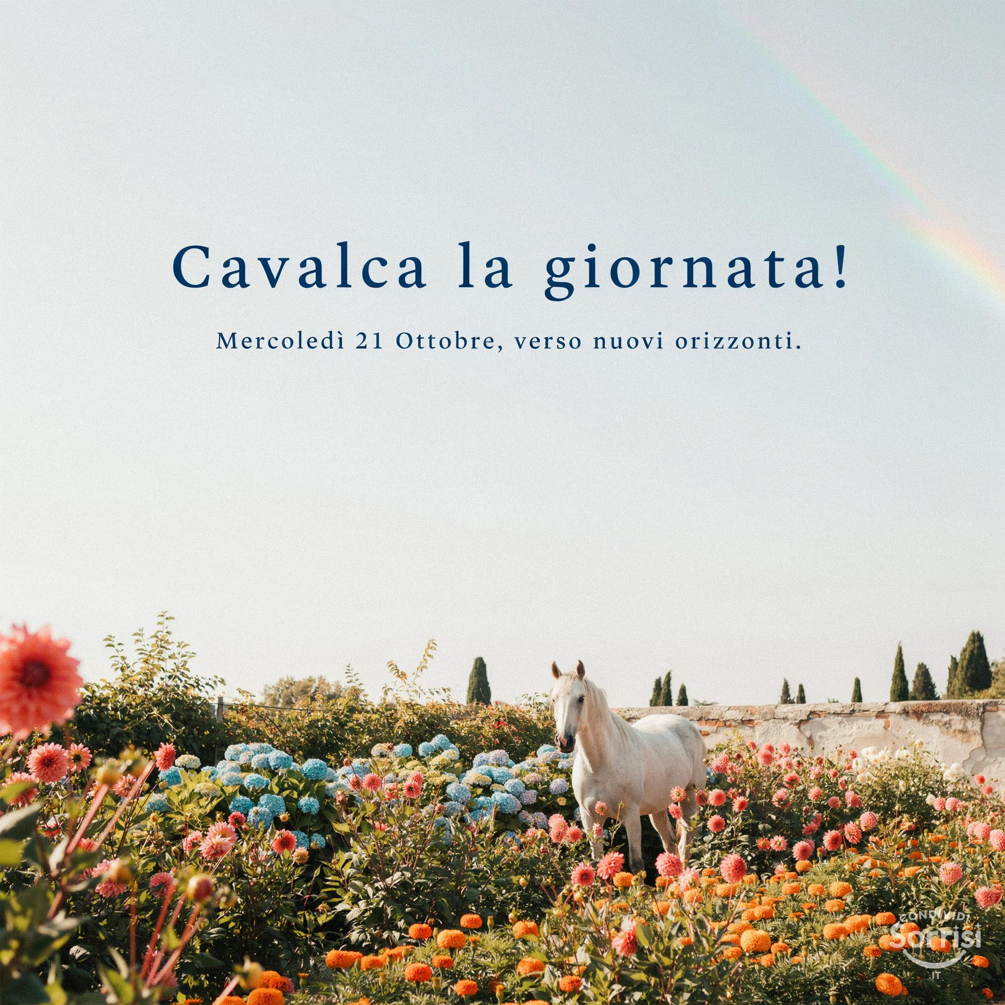Cavalca la giornata! Mercoledì 21 Ottobre, verso nuovi orizzonti.