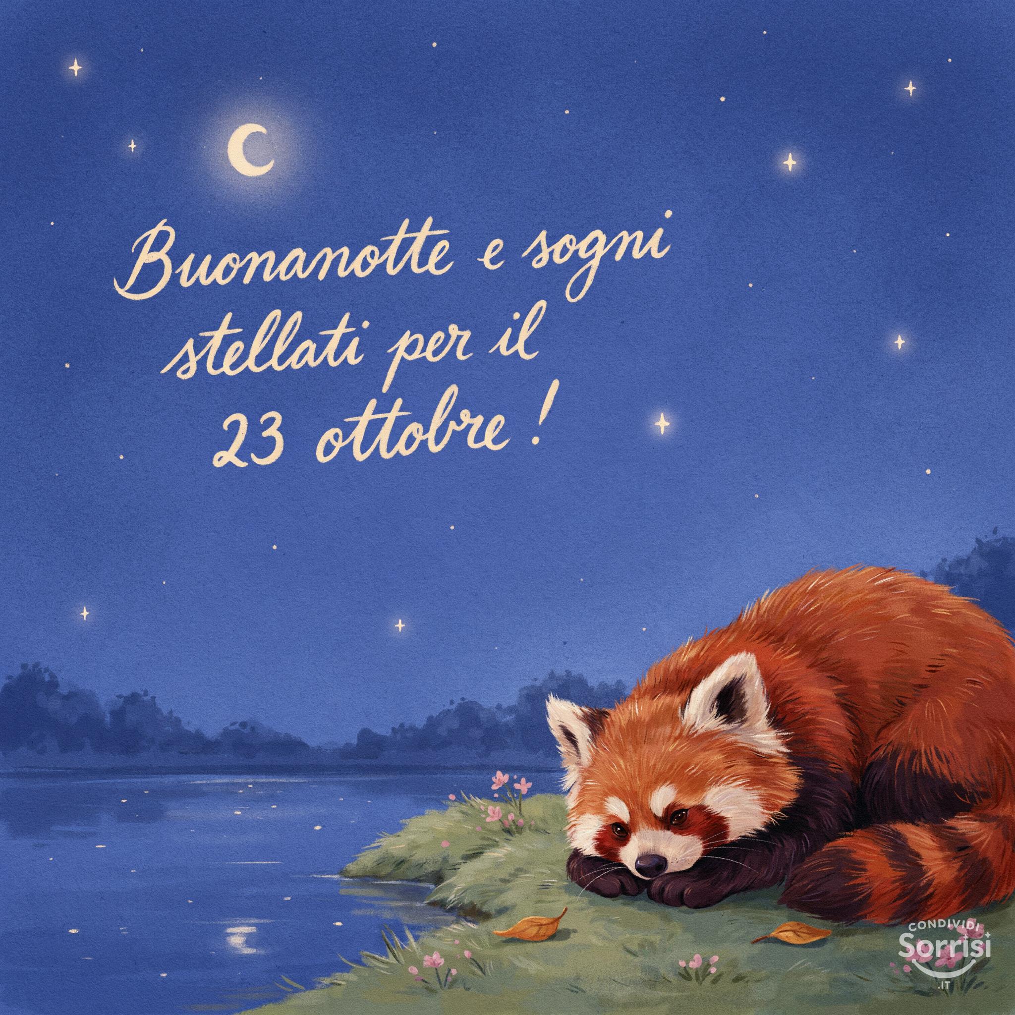 Buonanotte e sogni stellati per il 23 ottobre !