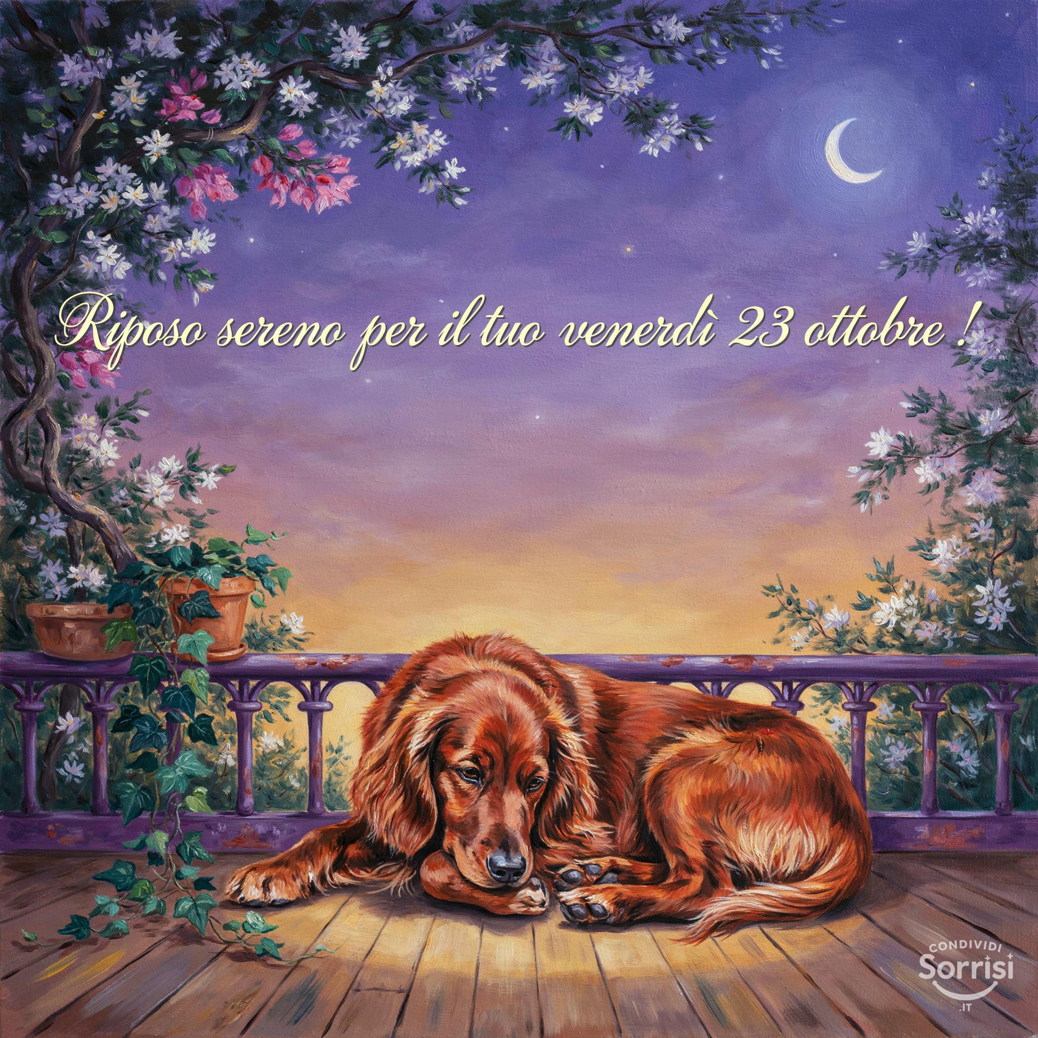 Riposo sereno per il tuo venerdì 23 ottobre !