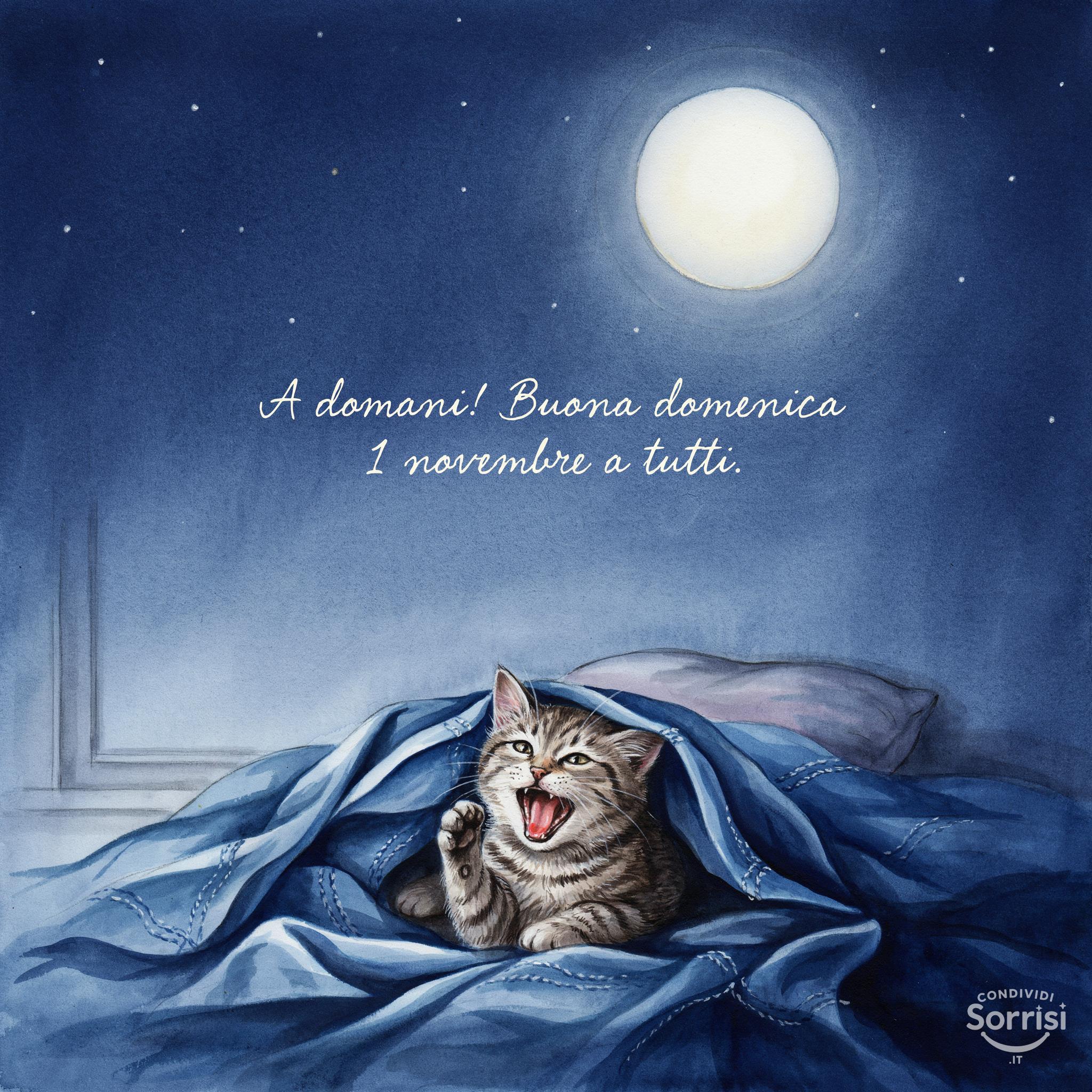 A domani! Buona domenica 1 novembre  a tutti.