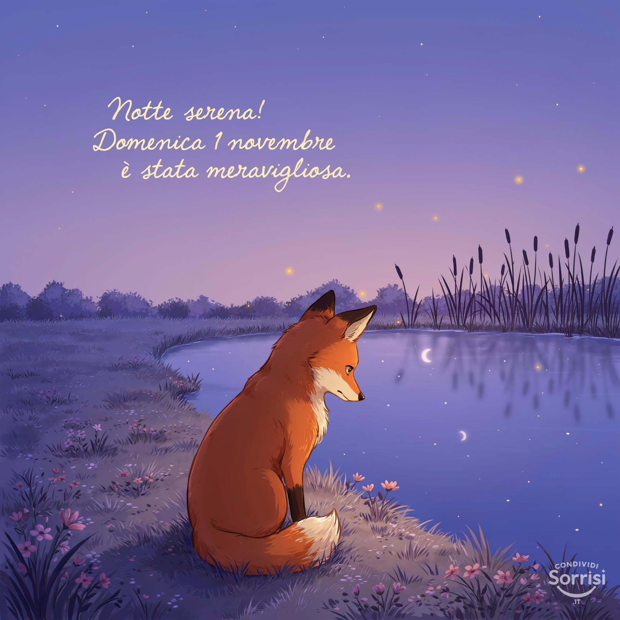 Notte serena! Domenica 1 novembre  è stata meravigliosa.