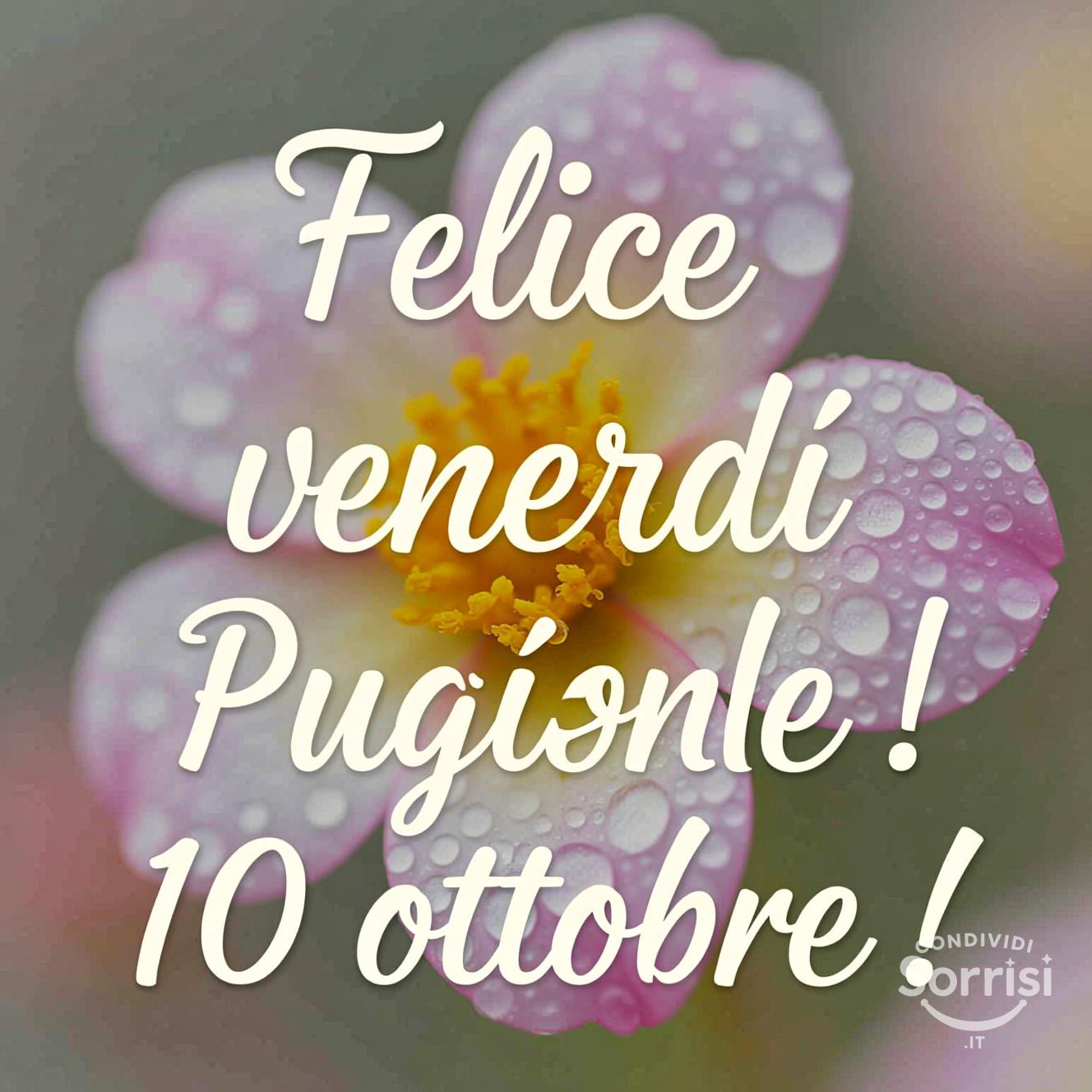 Felice venerdì 10 ottobre !
