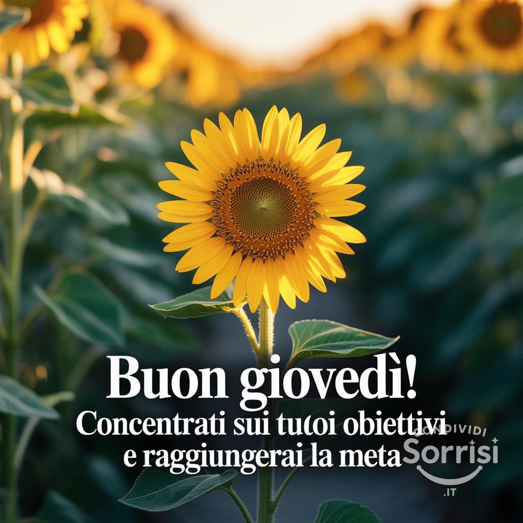 Buon giovedì! Concentrati sui tuoi obiettivi e raggiungerai la meta
