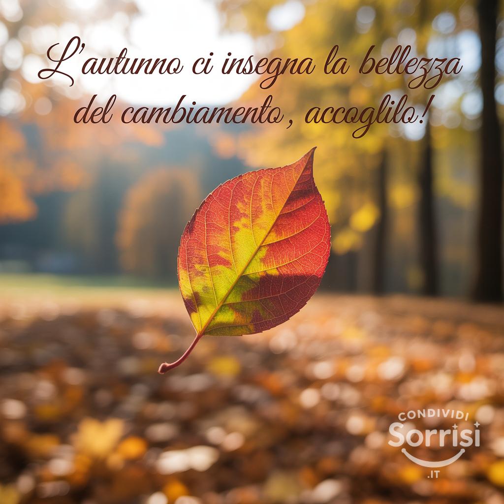 L'autunno ci insegna la bellezza del cambiamento, accoglilo!