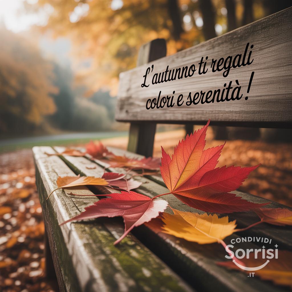 L'autunno ti regali colori e serenità!